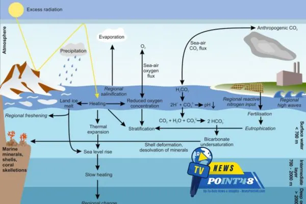 CO2 Decrease the ocean water level | Newspoint48