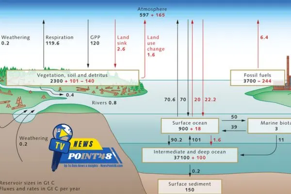 Upper Ocean Water Masses Declining | Newspoint48