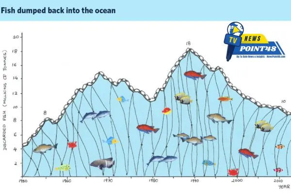 Preservation of the Oceans Addresses the Issue of Malnutrition