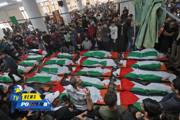 Violence in Gaza disasters image | newspoint48