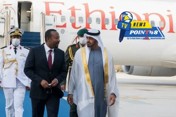 UAE: A Newcomer to African Geopolitics | Analysis and Insights | Newspoint48